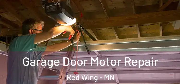  Garage Door Motor Repair Red Wing - MN