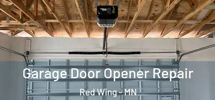  Garage Door Opener Repair Red Wing - MN